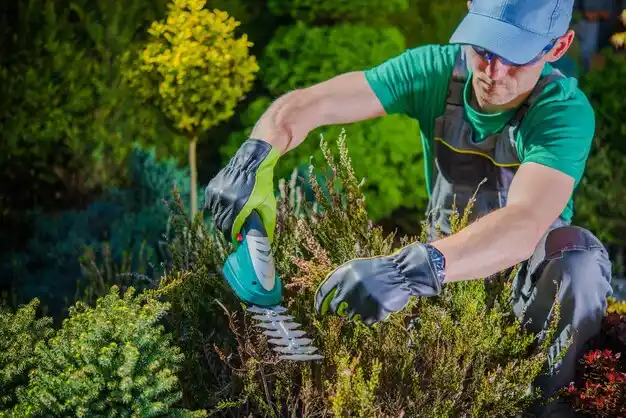 landscaping services White Pigeon
